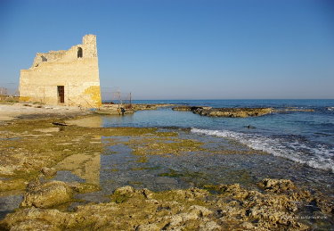 Torre Rinalda